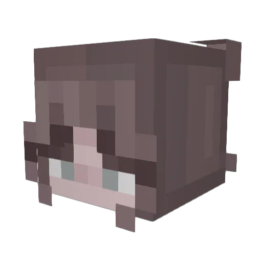 Toosa Minecraft avatar head, 3D render
