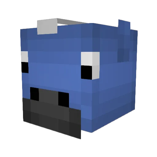 Toosaucy200 Minecraft avatar head, 3D render