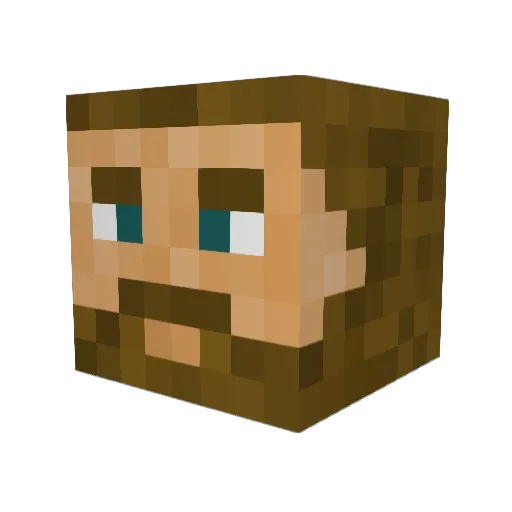Tooson Minecraft avatar head, 3D render