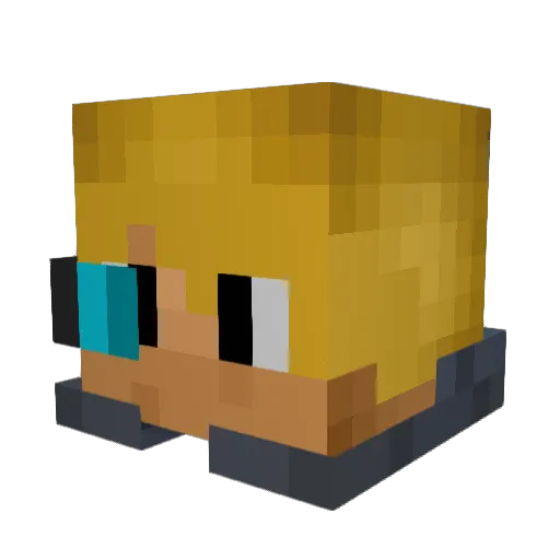 Toostiix3 Minecraft avatar head, 3D render