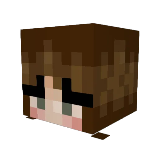 Toothless20085 Minecraft avatar head, 3D render