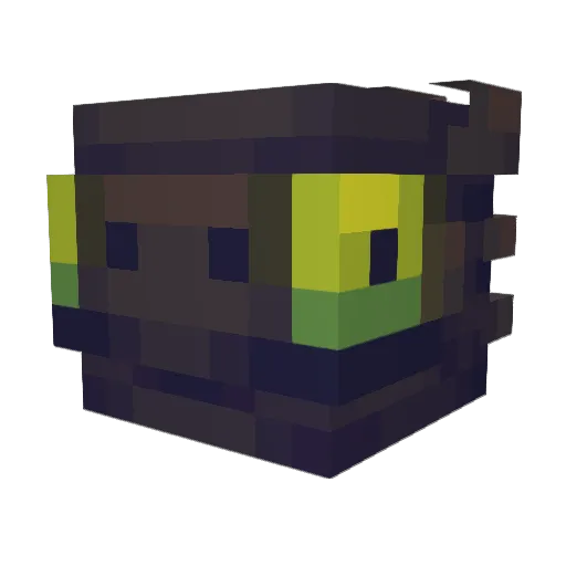 ToothlessDJERCIK Minecraft avatar head, 3D render