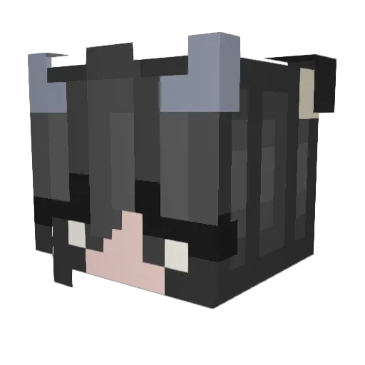 Toothlesso Minecraft avatar head, 3D render