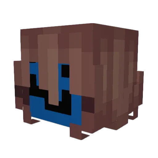 ToozyWoozy Minecraft avatar head, 3D render