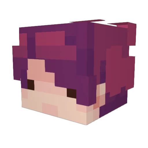 Top1FarmHunt Minecraft avatar head, 3D render