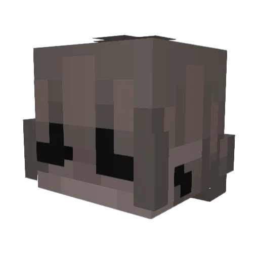 Top1_SPocuh Minecraft avatar head, 3D render