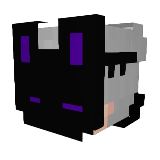 Top4ik9 Minecraft avatar head, 3D render