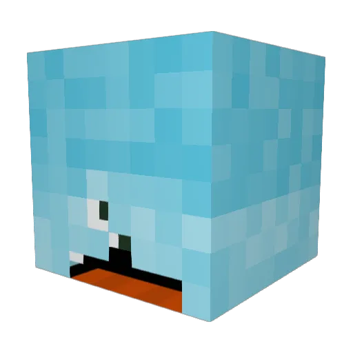 Top5Bruh_Moments Minecraft avatar head, 3D render