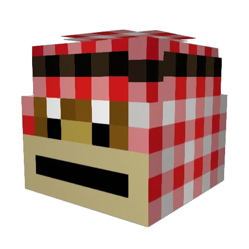 TopFloorJaysahn Minecraft avatar head, 3D render