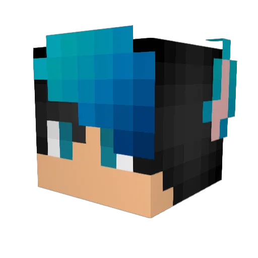 TopGaming_TJ Minecraft avatar head, 3D render
