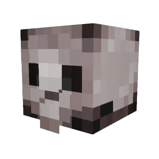 TopHat_Crow Minecraft avatar head, 3D render
