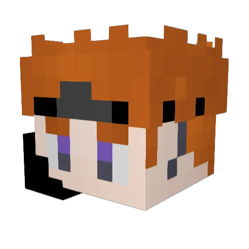 TopIslandgg Minecraft avatar head, 3D render