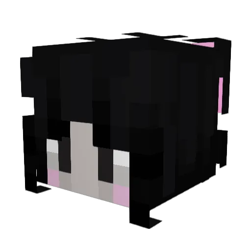 TopLoonatic Minecraft avatar head, 3D render