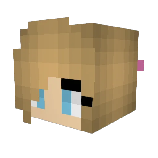 TopMoop Minecraft avatar head, 3D render