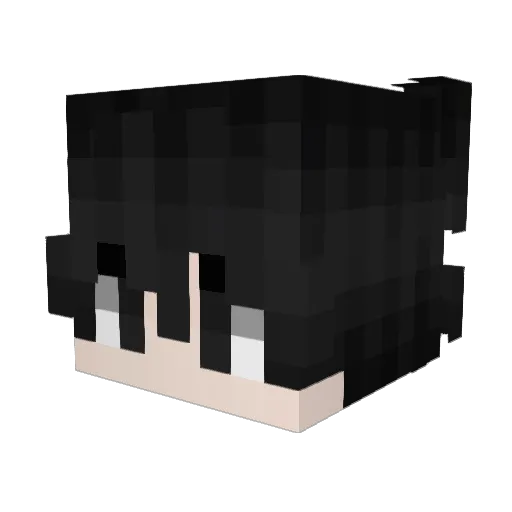 TopNoDebuff Minecraft avatar head, 3D render