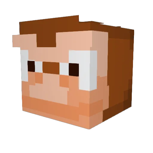 TopNyyppa Minecraft avatar head, 3D render