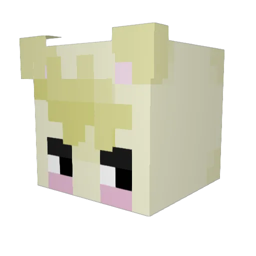 TopPeakEst Minecraft avatar head, 3D render