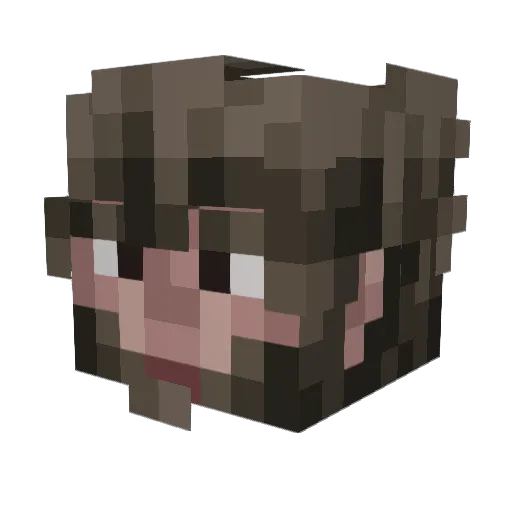 Top_1 Minecraft avatar head, 3D render