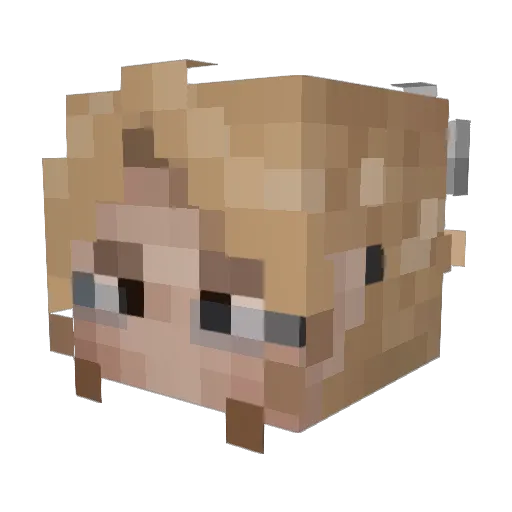 Top_Chay Minecraft avatar head, 3D render