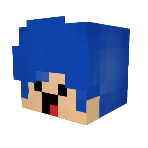 Top_Gamer0 Minecraft avatar head, 3D render