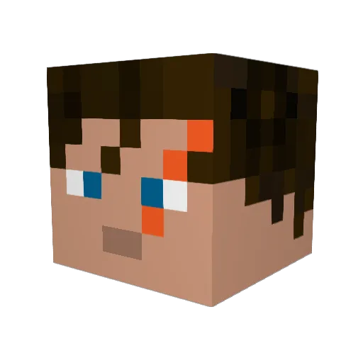 Top_HAWK Minecraft avatar head, 3D render