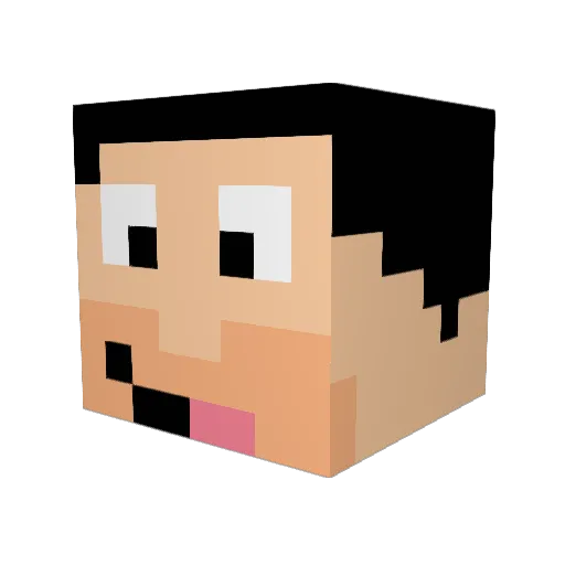 Top_Token Minecraft avatar head, 3D render