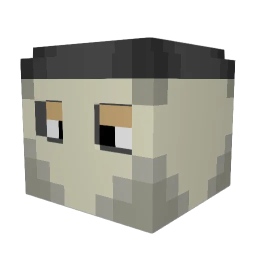 Top__Bins Minecraft avatar head, 3D render