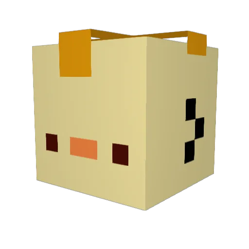 Topaz_Ducky8 Minecraft avatar head, 3D render