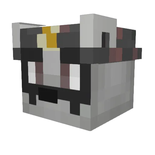 Topeeeerz Minecraft avatar head, 3D render
