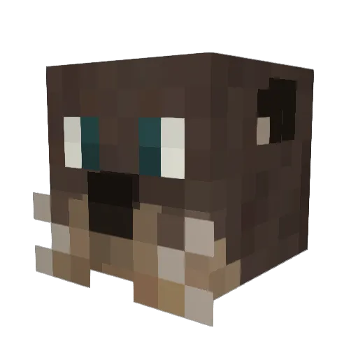 Topera69 Minecraft avatar head, 3D render