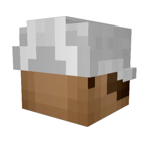 Topfpflanxe Minecraft avatar head, 3D render