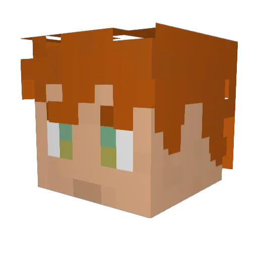 Topfpflanzeeee Minecraft avatar head, 3D render