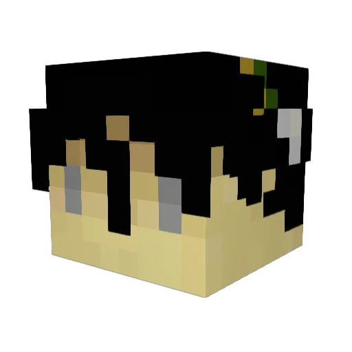 TophBeiFong4 Minecraft avatar head, 3D render