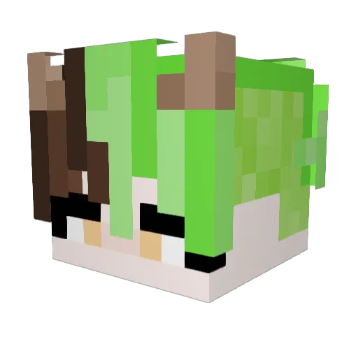 TophatBat31 Minecraft avatar head, 3D render