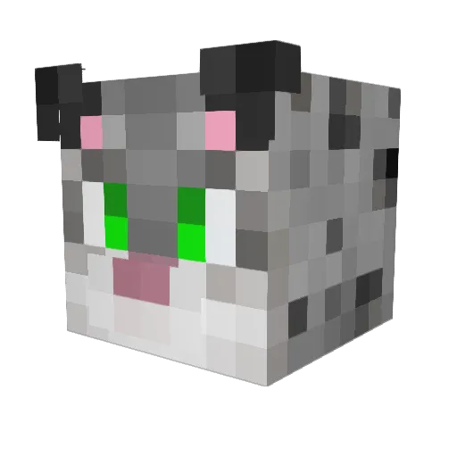 Tophat_Shark Minecraft avatar head, 3D render