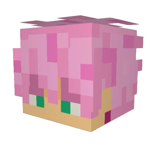 Tophee_ Minecraft avatar head, 3D render