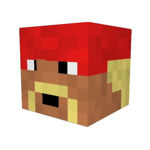 TopherGopherSFA Minecraft avatar head, 3D render