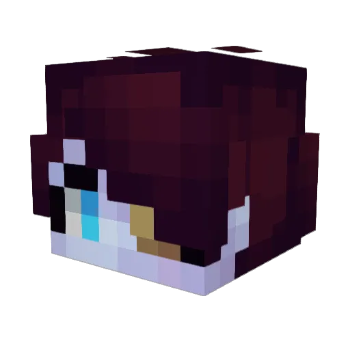 TopherLee1 Minecraft avatar head, 3D render
