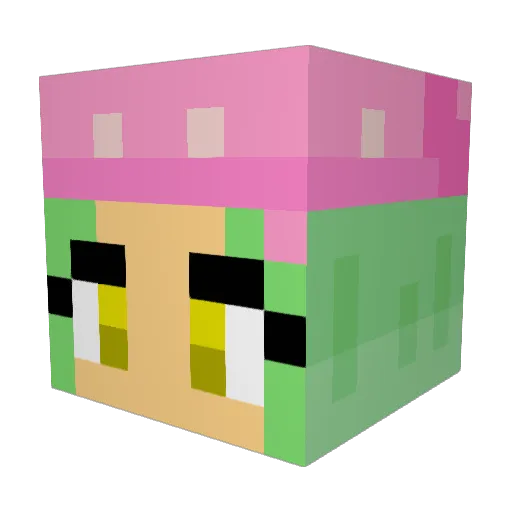 Topillo1710 Minecraft avatar head, 3D render