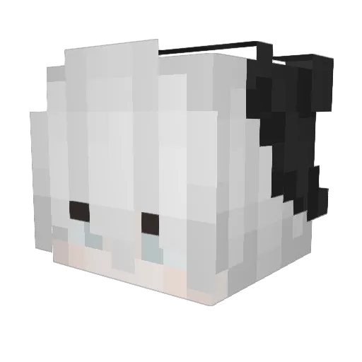 Topixx Minecraft avatar head, 3D render