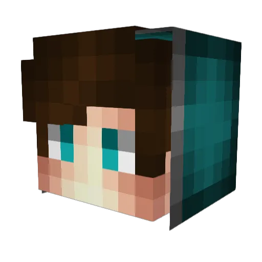 Topla_ Minecraft avatar head, 3D render