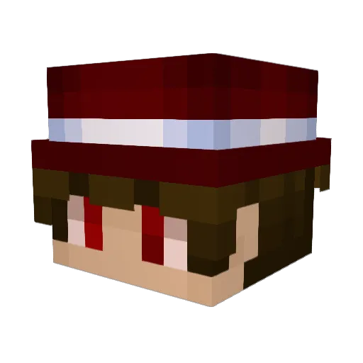 Topo4ka_556 Minecraft avatar head, 3D render