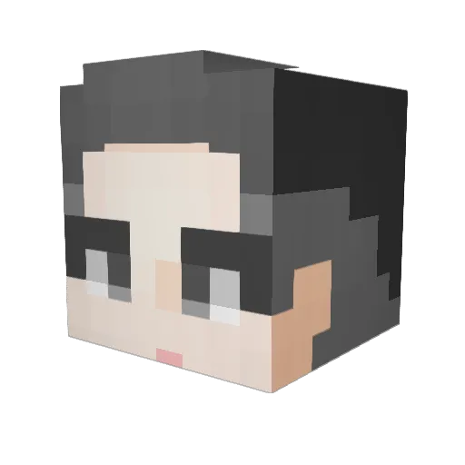 Topology7 Minecraft avatar head, 3D render