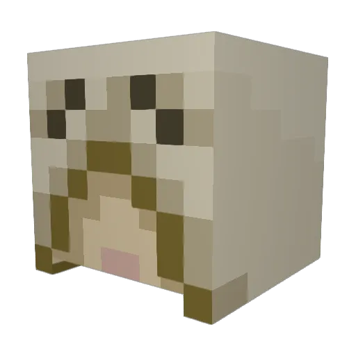 Topon_4 Minecraft avatar head, 3D render