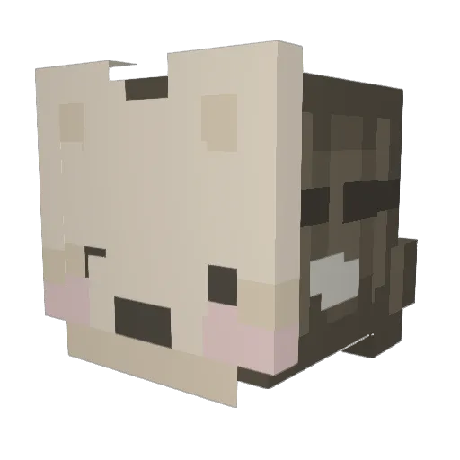 Toppatt Minecraft avatar head, 3D render