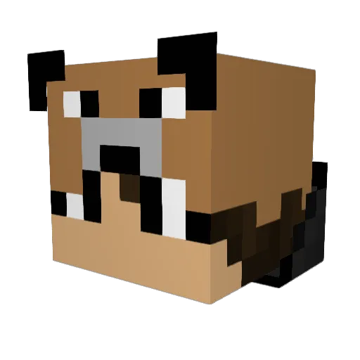 Toppiedoppie Minecraft avatar head, 3D render