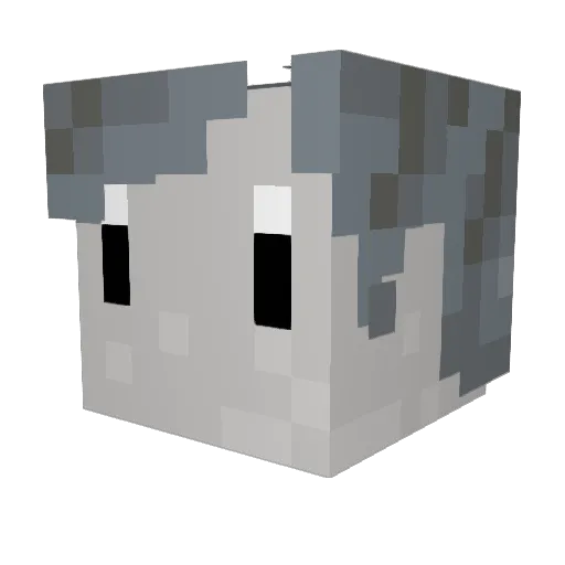 ToppingKitty5 Minecraft avatar head, 3D render