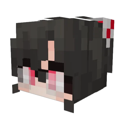 Toppz Minecraft avatar head, 3D render