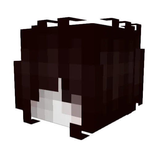 Topscorer Minecraft avatar head, 3D render