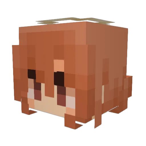 Topsick117 Minecraft avatar head, 3D render